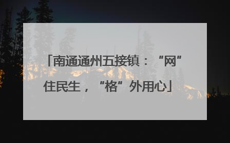 南通通州五接镇：“网”住民生，“格”外用心