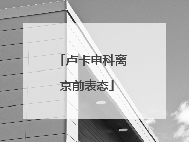 卢卡申科离京前表态