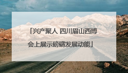 兴产聚人 四川眉山西博会上展示磅礴发展动能
