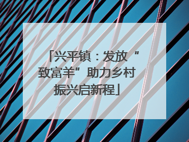 兴平镇：发放“致富羊”助力乡村振兴启新程