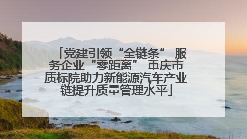 党建引领“全链条” 服务企业“零距离” 重庆市质标院助力新能源汽车产业链提升质量管理水平