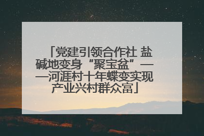 党建引领合作社 盐碱地变身“聚宝盆”——河涯村十年蝶变实现产业兴村群众富