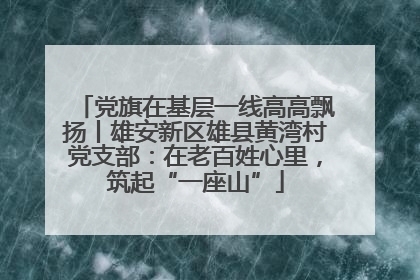 党旗在基层一线高高飘扬丨雄安新区雄县黄湾村党支部：在老百姓心里，筑起“一座山”
