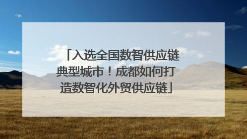 入选全国数智供应链典型城市！成都如何打造数智化外贸供应链