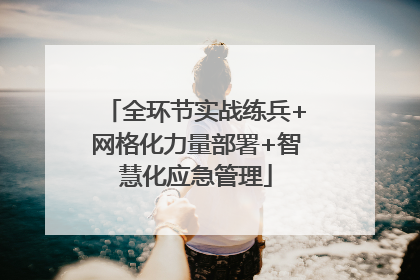 全环节实战练兵+网格化力量部署+智慧化应急管理