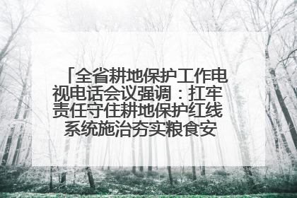 全省耕地保护工作电视电话会议强调：扛牢责任守住耕地保护红线 系统施治夯实粮食安全根基 王宁作出批示 王予波出席并讲话