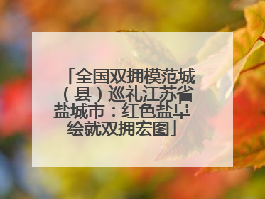 全国双拥模范城（县）巡礼江苏省盐城市：红色盐阜绘就双拥宏图