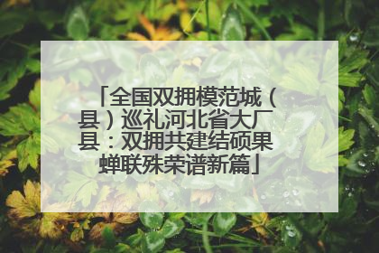 全国双拥模范城（县）巡礼河北省大厂县：双拥共建结硕果 蝉联殊荣谱新篇
