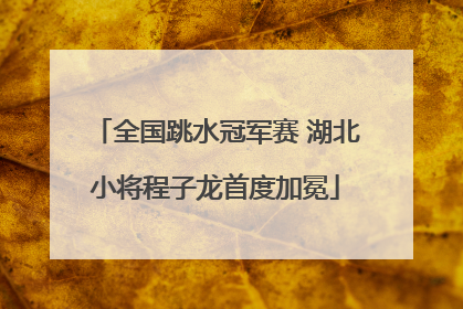 全国跳水冠军赛 湖北小将程子龙首度加冕
