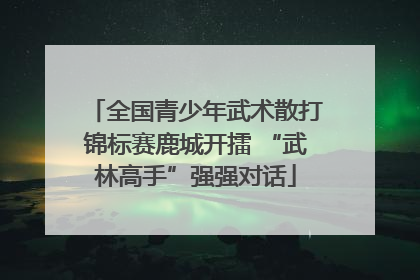 全国青少年武术散打锦标赛鹿城开擂 “武林高手”强强对话