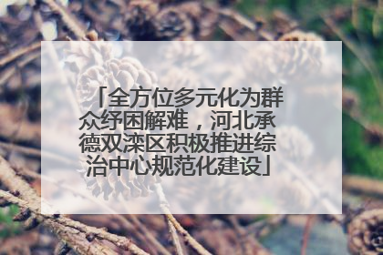 全方位多元化为群众纾困解难，河北承德双滦区积极推进综治中心规范化建设