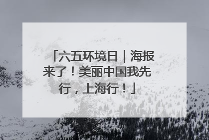 六五环境日｜海报来了！美丽中国我先行，上海行！