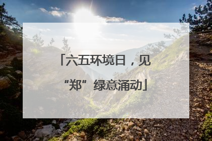 六五环境日，见“郑”绿意涌动