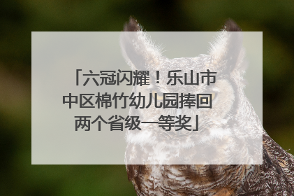 六冠闪耀！乐山市中区棉竹幼儿园捧回两个省级一等奖