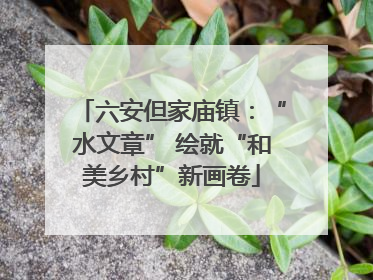 六安但家庙镇：“水文章” 绘就“和美乡村”新画卷