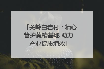 关岭白岩村：精心管护黄精基地 助力产业提质增效