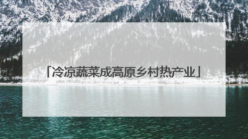 冷凉蔬菜成高原乡村热产业