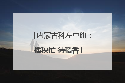 内蒙古科左中旗：插秧忙 待稻香