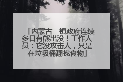 内蒙古一镇政府连续多日有熊出没！工作人员：它没攻击人，只是在垃圾桶翻找食物