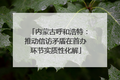 内蒙古呼和浩特：推动信访矛盾在首办环节实质性化解