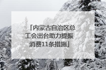内蒙古自治区总工会出台助力提振消费11条措施