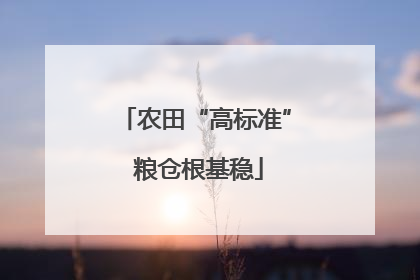 农田“高标准” 粮仓根基稳