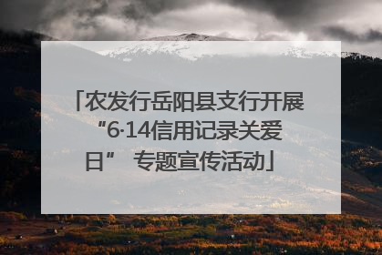 农发行岳阳县支行开展“6·14信用记录关爱日” 专题宣传活动