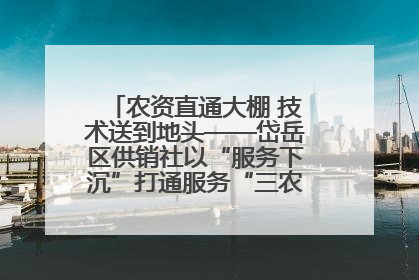 农资直通大棚 技术送到地头——岱岳区供销社以“服务下沉”打通服务“三农”最后一公里