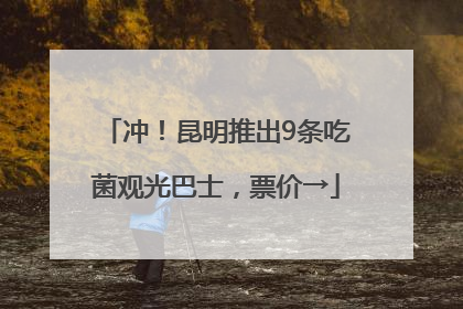 冲！昆明推出9条吃菌观光巴士，票价→