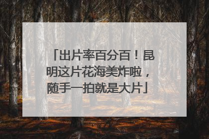 出片率百分百！昆明这片花海美炸啦，随手一拍就是大片