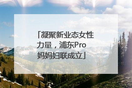 凝聚新业态女性力量，浦东Pro妈妈妇联成立