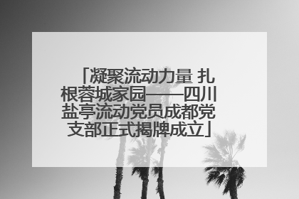 凝聚流动力量 扎根蓉城家园——四川盐亭流动党员成都党支部正式揭牌成立