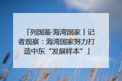 列国鉴·海湾国家丨记者观察：海湾国家努力打造中东“发展样本”