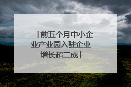 前五个月中小企业产业园入驻企业增长超三成
