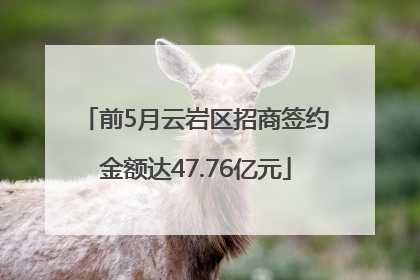 前5月云岩区招商签约金额达47.76亿元