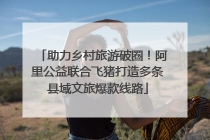 助力乡村旅游破圈！阿里公益联合飞猪打造多条县域文旅爆款线路