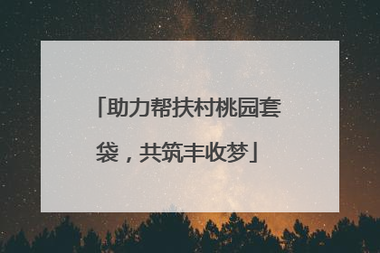 助力帮扶村桃园套袋，共筑丰收梦