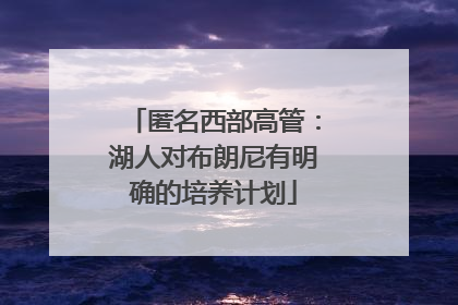匿名西部高管：湖人对布朗尼有明确的培养计划
