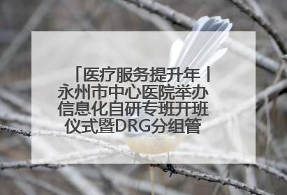 医疗服务提升年丨永州市中心医院举办信息化自研专班开班仪式暨DRG分组管理系统上线培训会