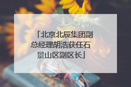 北京北辰集团副总经理胡浩获任石景山区副区长