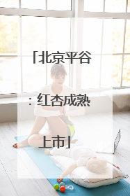 北京平谷：红杏成熟上市