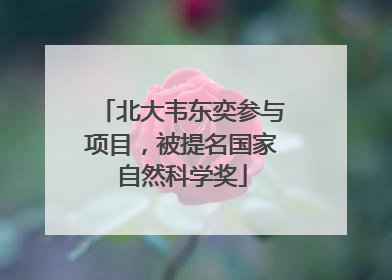 北大韦东奕参与项目，被提名国家自然科学奖