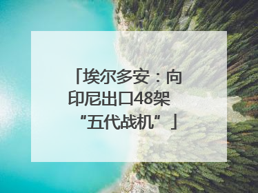 埃尔多安：向印尼出口48架“五代战机”