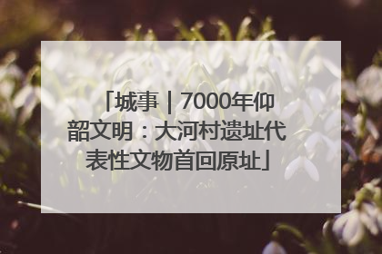 城事｜7000年仰韶文明：大河村遗址代表性文物首回原址
