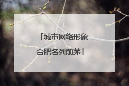城市网络形象合肥名列前茅