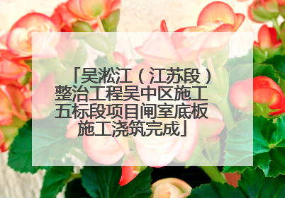 吴淞江（江苏段）整治工程吴中区施工五标段项目闸室底板施工浇筑完成