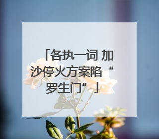 各执一词 加沙停火方案陷“罗生门”