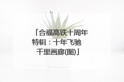 合福高铁十周年特辑：十年飞驰 千里画廊(图)