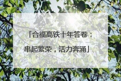 合福高铁十年答卷：串起繁荣，活力奔涌