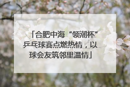 合肥中海“领潮杯”乒乓球赛点燃热情，以球会友筑邻里温情